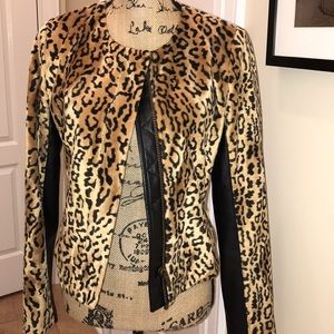 Cheetah print jacket By Boston proper size 4